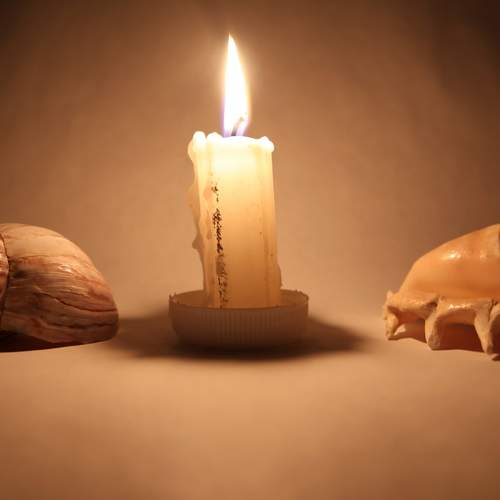 Photo #13582572