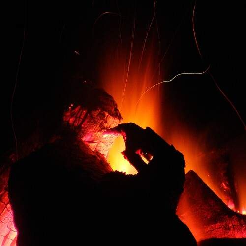 Photo #13582587