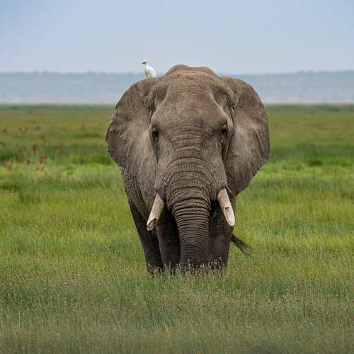 Photo #13582743