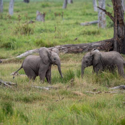 Photo #13582744