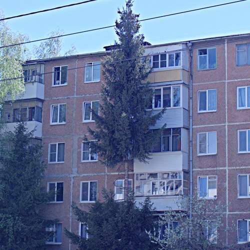 Я не виновата...