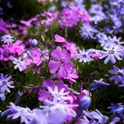 Photo #13582904