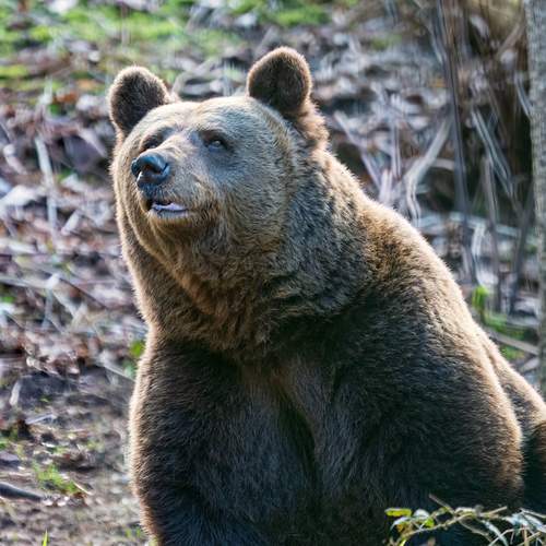 Photo #13582921