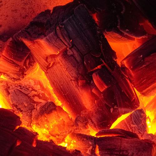 Photo #13583023