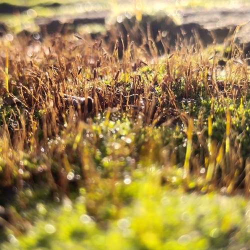 Photo #13583107