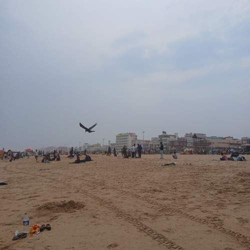 Photo #13583151