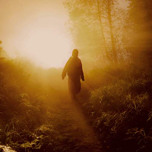 Photo #13583174