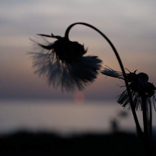 Photo #13583438