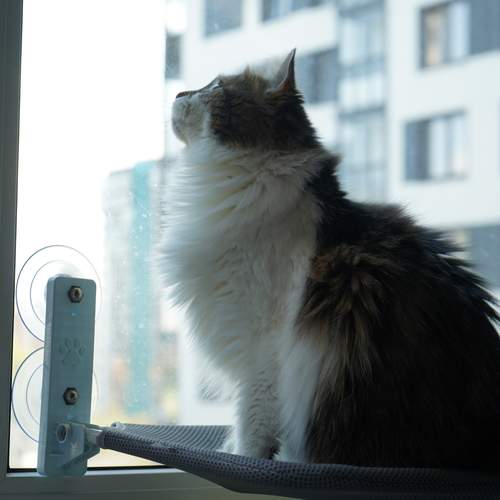 Photo #13583450
