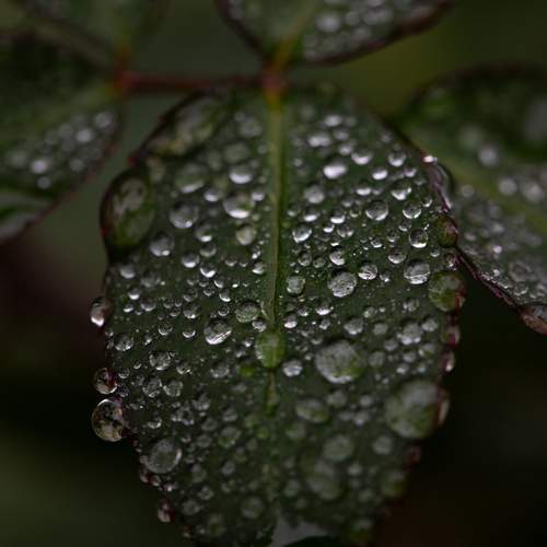 Photo #13583474