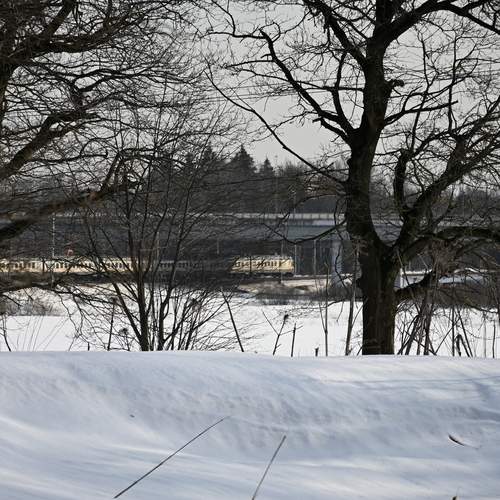 Photo #13583522