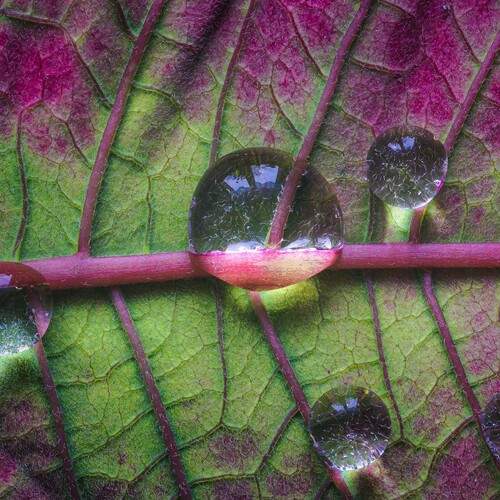 Photo #13583537