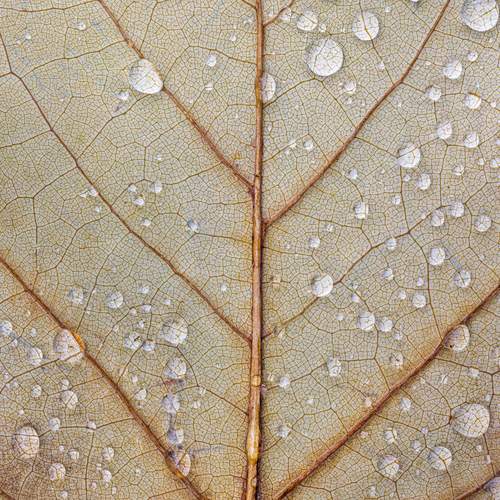 Photo #13583540