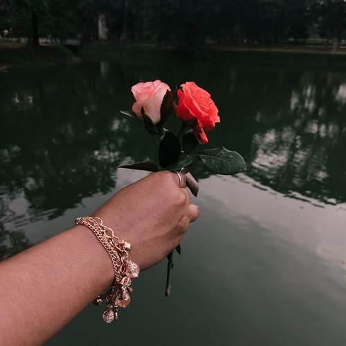 Photo #13583547