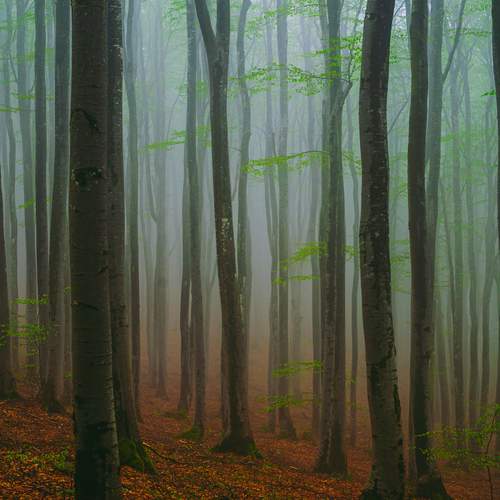 Photo #13583932