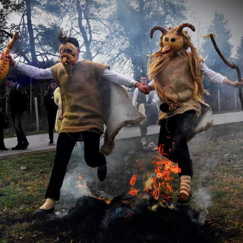 Photo #13584175