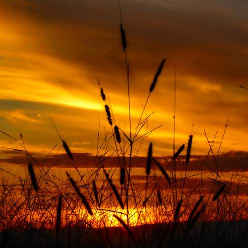 Photo #13584199