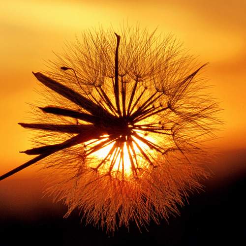 Photo #13584205