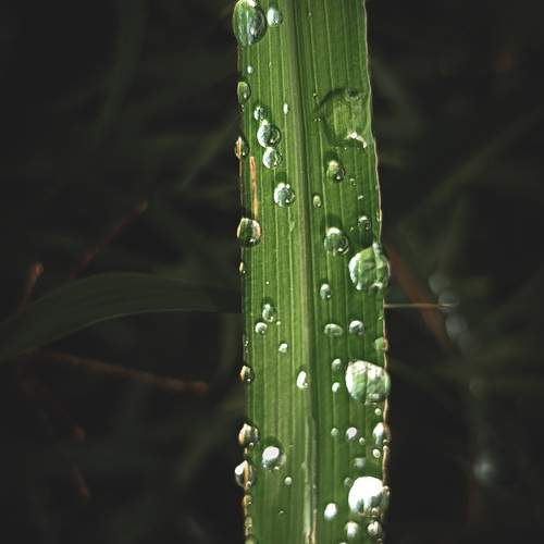 Photo #13584294