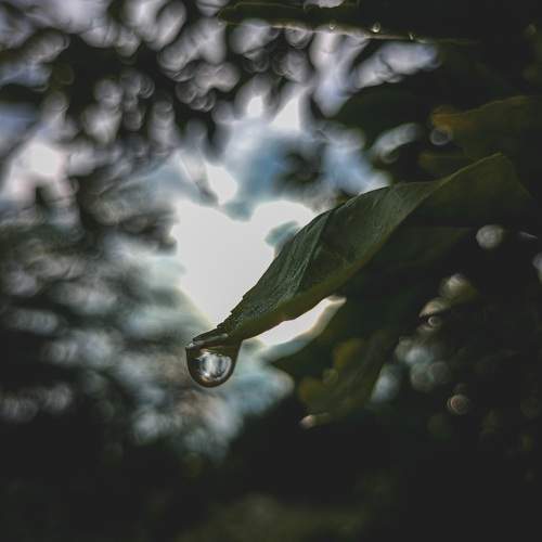 Photo #13584295