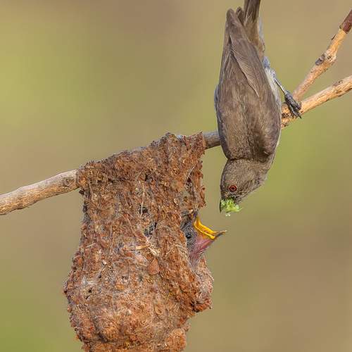 Photo #13584353