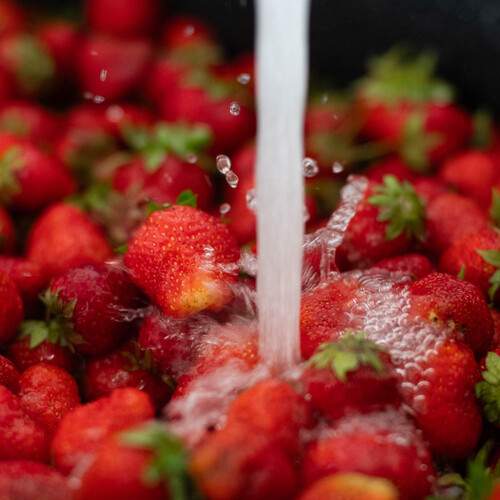 Photo #13584434