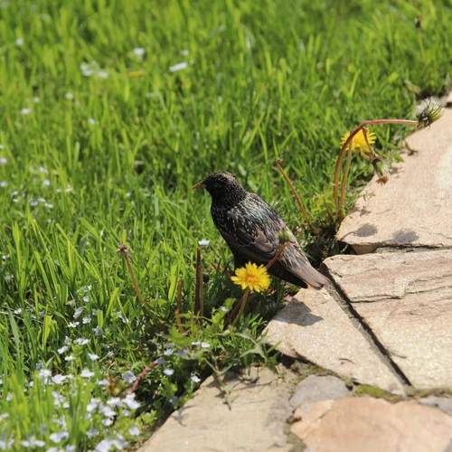 Photo #13584489
