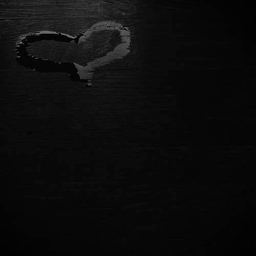 Photo #13584527