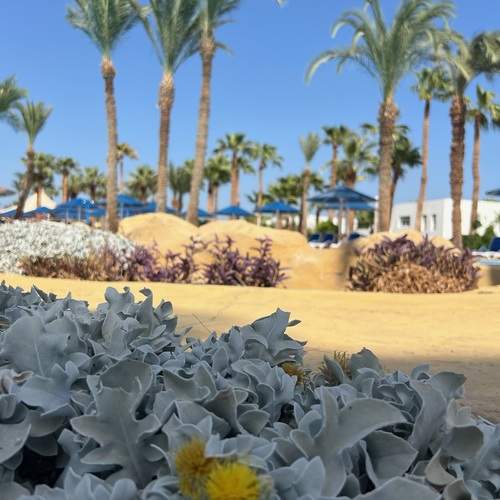 Photo #13584528