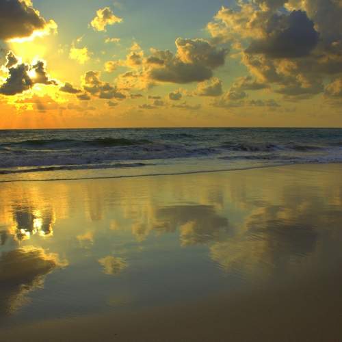 Photo #13584604