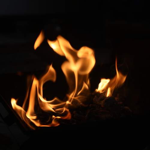 Photo #13584812