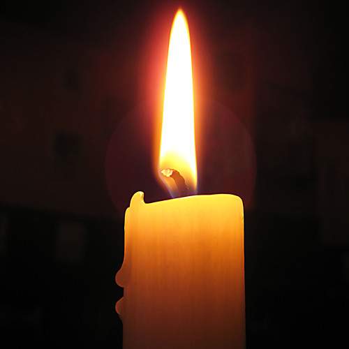Photo #13584925