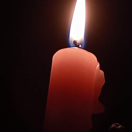 Photo #13585132