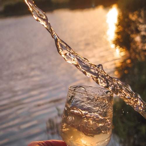 Photo #13585166