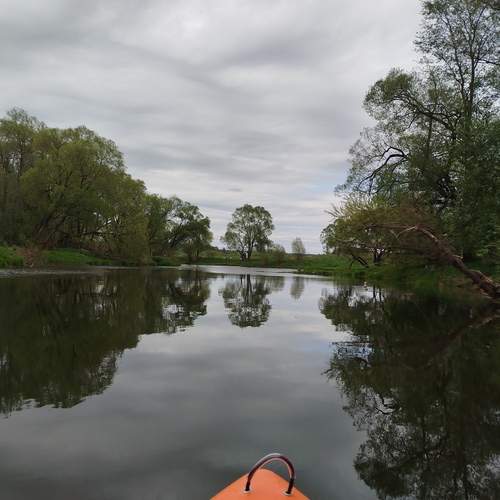 Photo #13585253