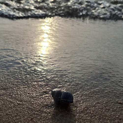 Photo #13585256