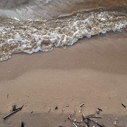 Photo #13585257