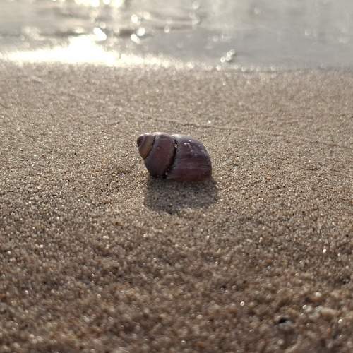 Photo #13585258