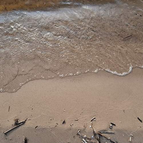 Photo #13585259