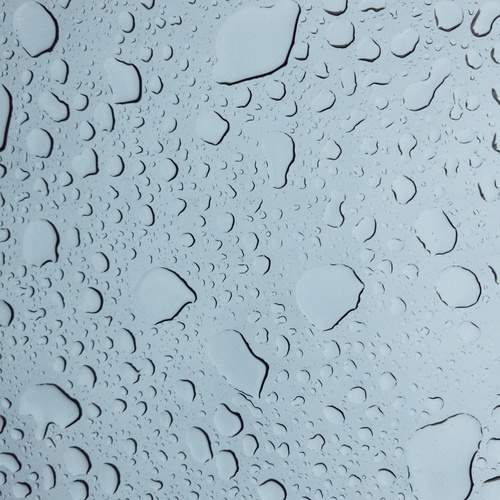 Photo #13585522