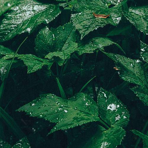 Photo #13585741