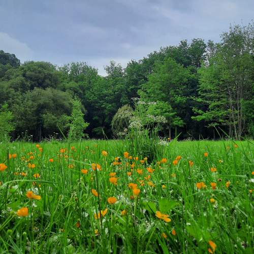 Photo #13586113