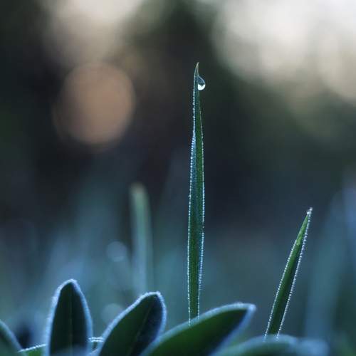 Photo #13586122