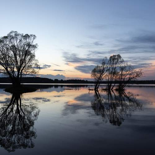 Photo #13586202
