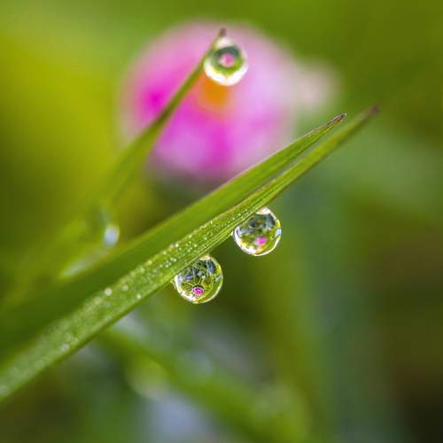Liquid Mirrors
