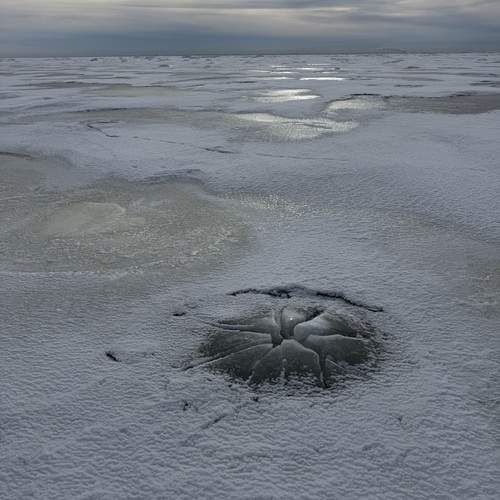 Photo #13586323