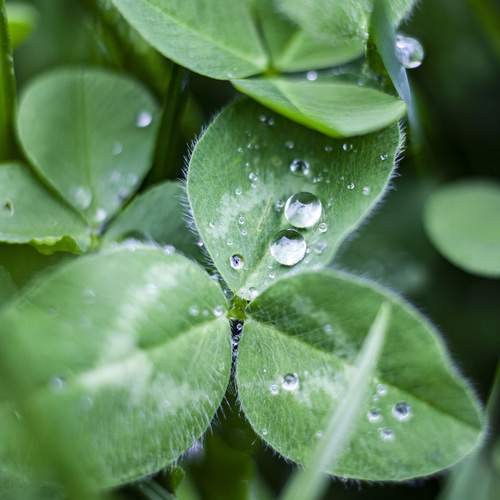 Photo #13586477