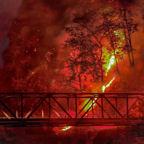 Photo #13586493