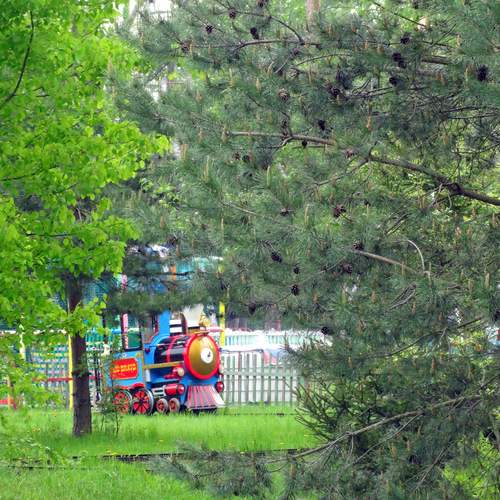 Photo #13586499