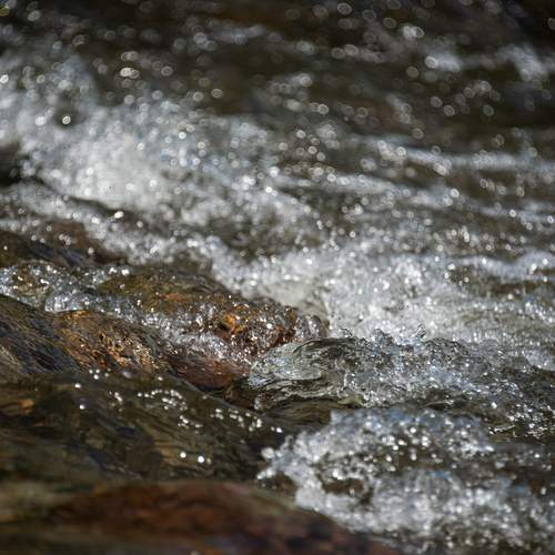 Photo #13586582